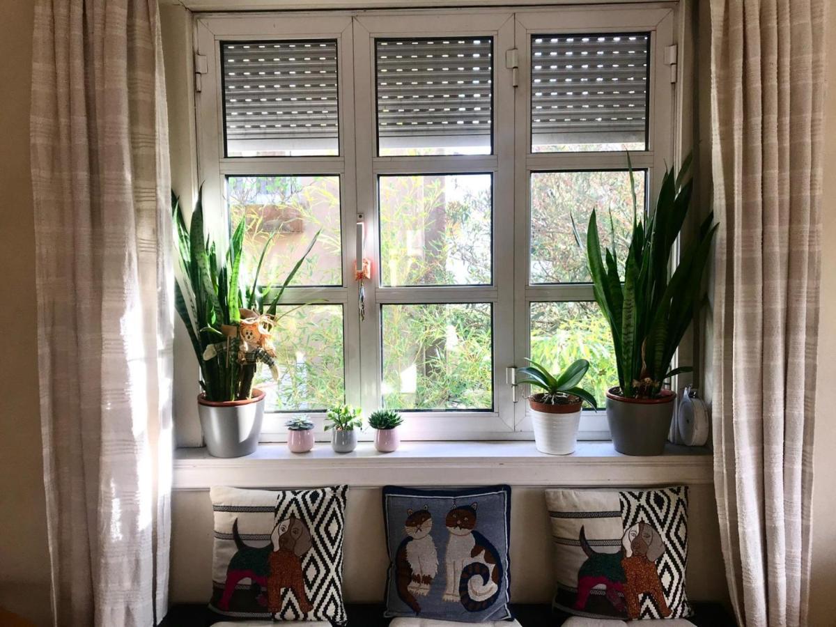 Antas Cozy House Apartment Porto Bagian luar foto